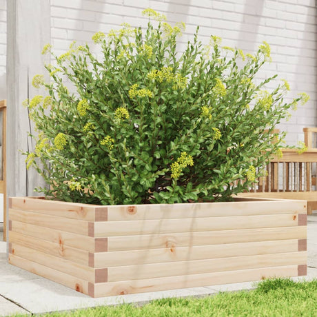 Vidaxx plantekasse 70x70x23 cm massivt fyrretræ