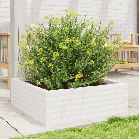 Vidaxx plantekasse 70x70x23 cm massiv fyrretræ hvid