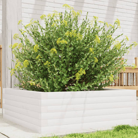 Vidaxx plantekasse 70x70x23 cm massiv fyrretræ hvid
