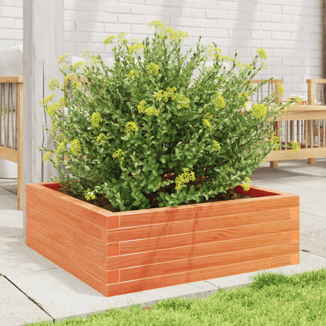 Vidaxx plantekasse 70x70x23 cm massiv fyrretræ, vask brun