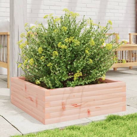 Vidaxx plantekasse 70x70x23 cm massivt Douglas træ