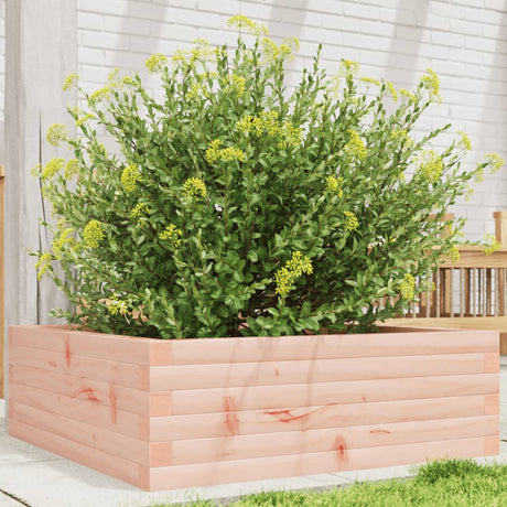 Vidaxx plantekasse 70x70x23 cm massivt Douglas træ