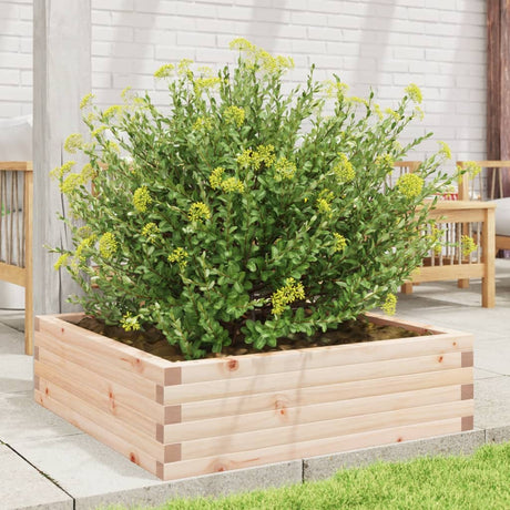 Vidaxx plantekasse 80x80x23 cm massivt fyrretræ
