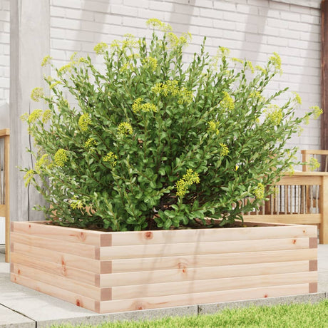 Vidaxx plantekasse 80x80x23 cm massivt fyrretræ