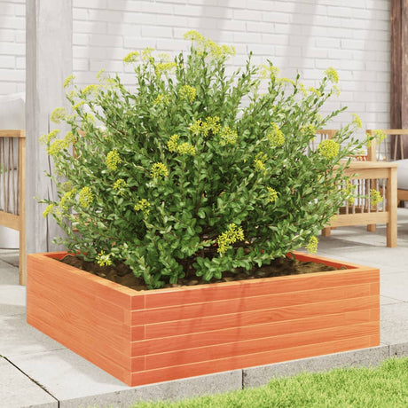 Vidaxx plantekasse 80x80x23 cm massiv fyrretræ, vask brun