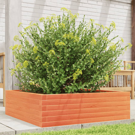Vidaxx plantekasse 80x80x23 cm massiv fyrretræ, vask brun