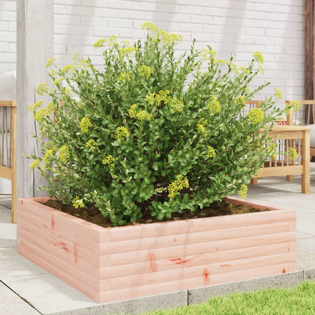 Vidaxx plantekasse 80x80x23 cm massivt Douglas træ