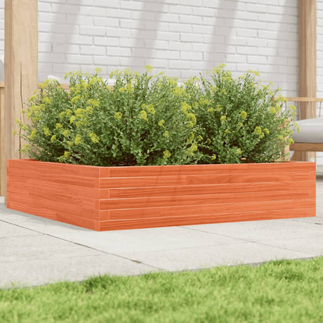Vidaxx plantekasse 100x100x23 cm massiv fyrretræ, vask brun