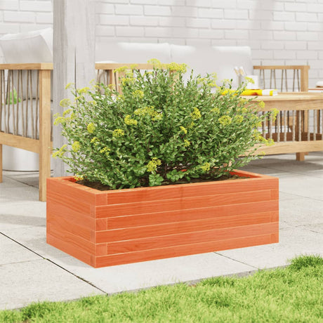 Vidaxx plantekasse 70x40x23 cm massiv fyrretræ, vask brun