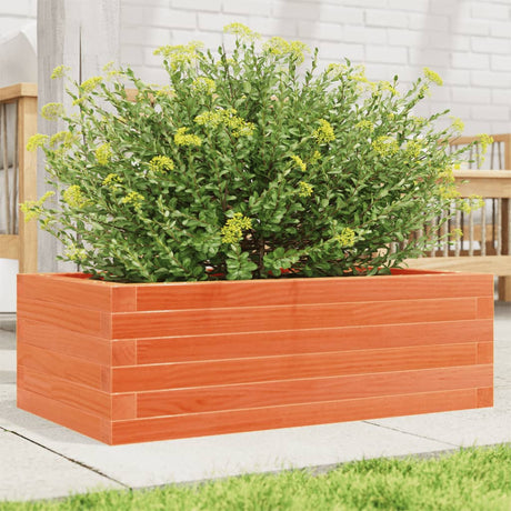 Vidaxx plantekasse 70x40x23 cm massiv fyrretræ, vask brun