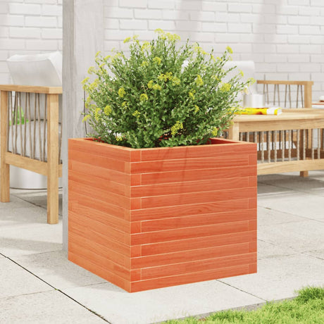 Vidaxx plantekasse 50x50x45,5 cm massiv fyrretræ, vask brun