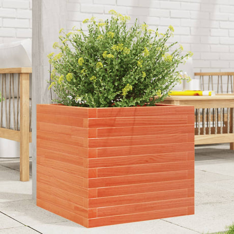Vidaxx plantekasse 50x50x45,5 cm massiv fyrretræ, vask brun