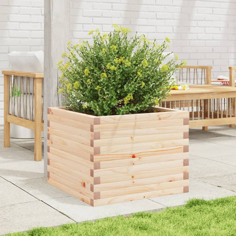 Vidaxx plantekasse 60x60x45,5 cm massivt fyrretræ