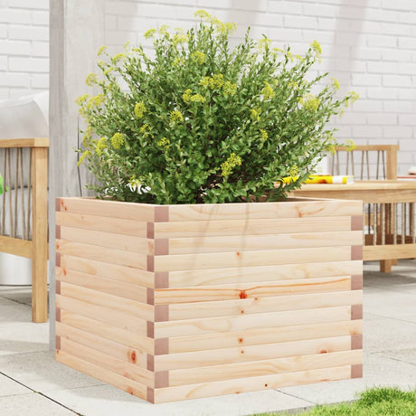 Vidaxx plantekasse 60x60x45,5 cm massivt fyrretræ