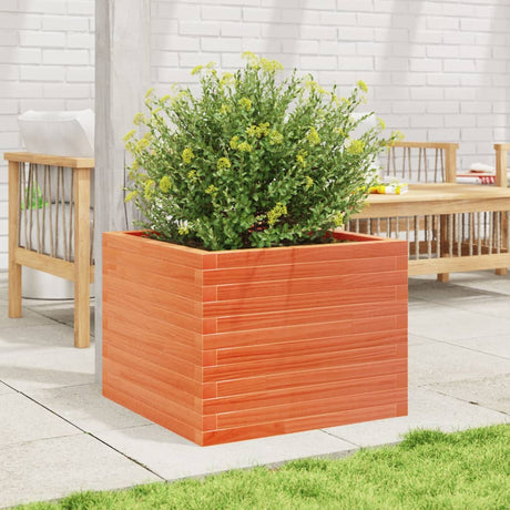 Vidaxx plantekasse 60x60x45,5 cm massiv fyrretræ, vask brun