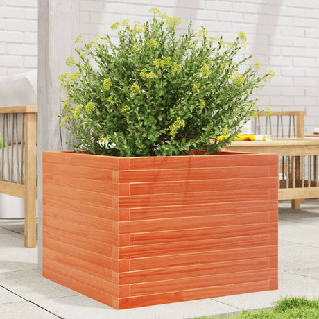 Vidaxx plantekasse 60x60x45,5 cm massiv fyrretræ, vask brun