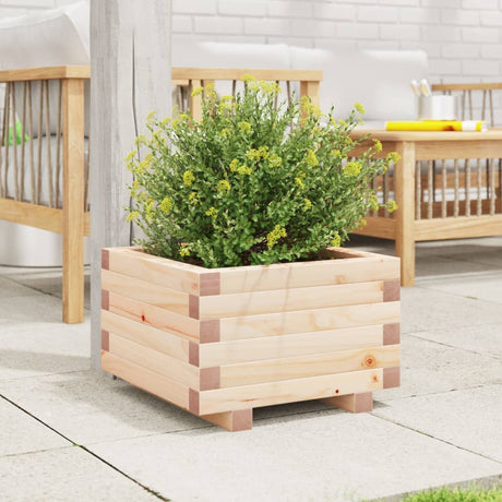 Vidaxx plantekasse 40x40x26,5 cm massivt fyrretræ