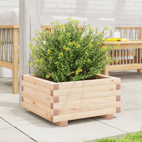 Vidaxx plantekasse 50x50x26,5 cm massivt fyrretræ