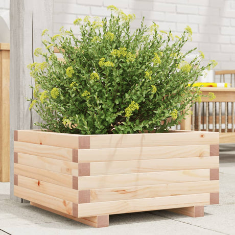 Vidaxx plantekasse 50x50x26,5 cm massivt fyrretræ