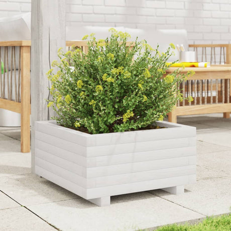 Vidaxx plantekasse 50x50x26,5 cm massiv fyrretræ hvid