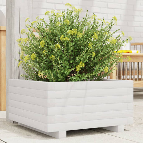 Vidaxx plantekasse 50x50x26,5 cm massiv fyrretræ hvid