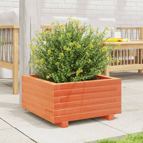 Vidaxx plantekasse 50x50x26,5 cm massiv fyrretræ, vask brun