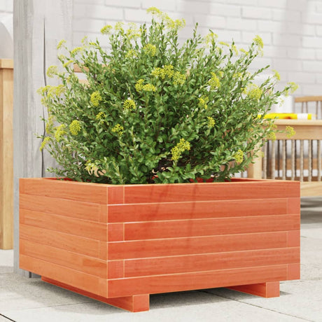 Vidaxx plantekasse 50x50x26,5 cm massiv fyrretræ, vask brun