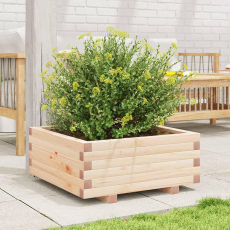 Vidaxx plantekasse 60x60x26,5 cm massivt fyrretræ