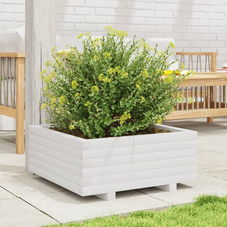 Vidaxx plantekasse 60x60x26,5 cm massiv fyrretræ hvid