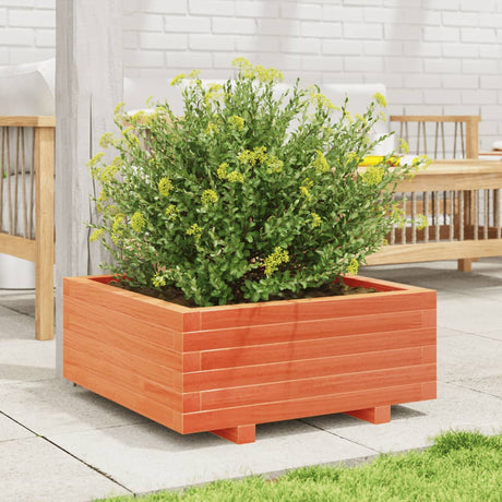 Vidaxx plantekasse 60x60x26,5 cm massiv fyrretræ, vask brun