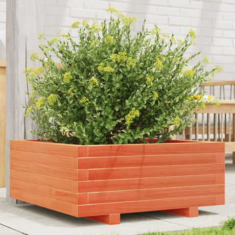 Vidaxx plantekasse 60x60x26,5 cm massiv fyrretræ, vask brun