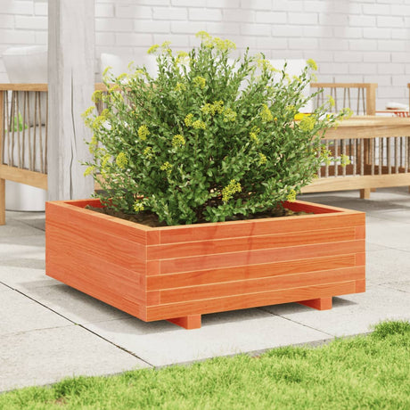 Vidaxx plantekasse 70x70x26,5 cm massiv fyrretræ, vask brun