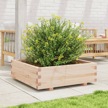 Vidaxx plantekasse 80x80x26,5 cm massivt fyrretræ
