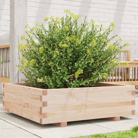 Vidaxx plantekasse 80x80x26,5 cm massivt fyrretræ