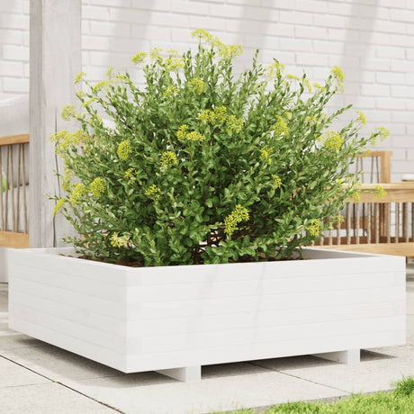 Vidaxx plantekasse 80x80x26,5 cm massiv fyrretræ hvid