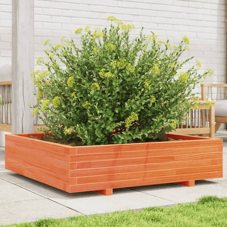 Vidaxx plantekasse 100x100x26,5 cm massiv fyrretræ, vask brun