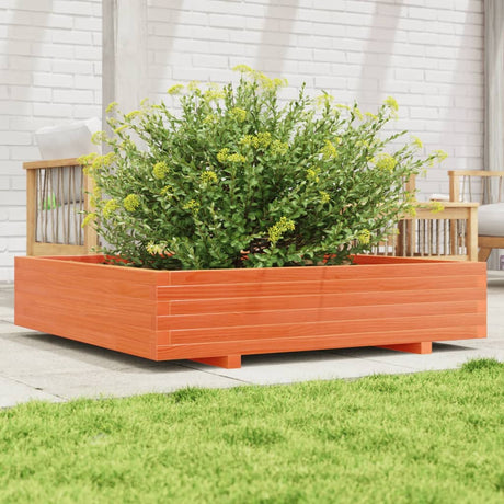 Vidaxx plantekasse 110x110x26,5 cm massiv fyrretræ vask brun