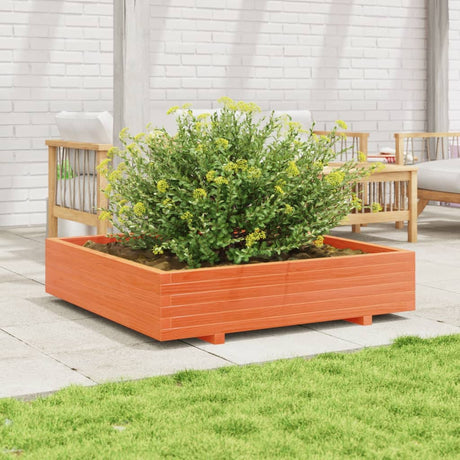 Vidaxx plantekasse 110x110x26,5 cm massiv fyrretræ vask brun