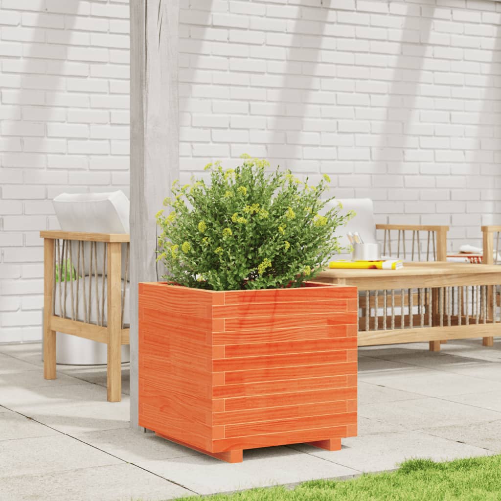 Vidaxx plantekasse 50x50x49,5 cm massiv fyrretræ, vask brun