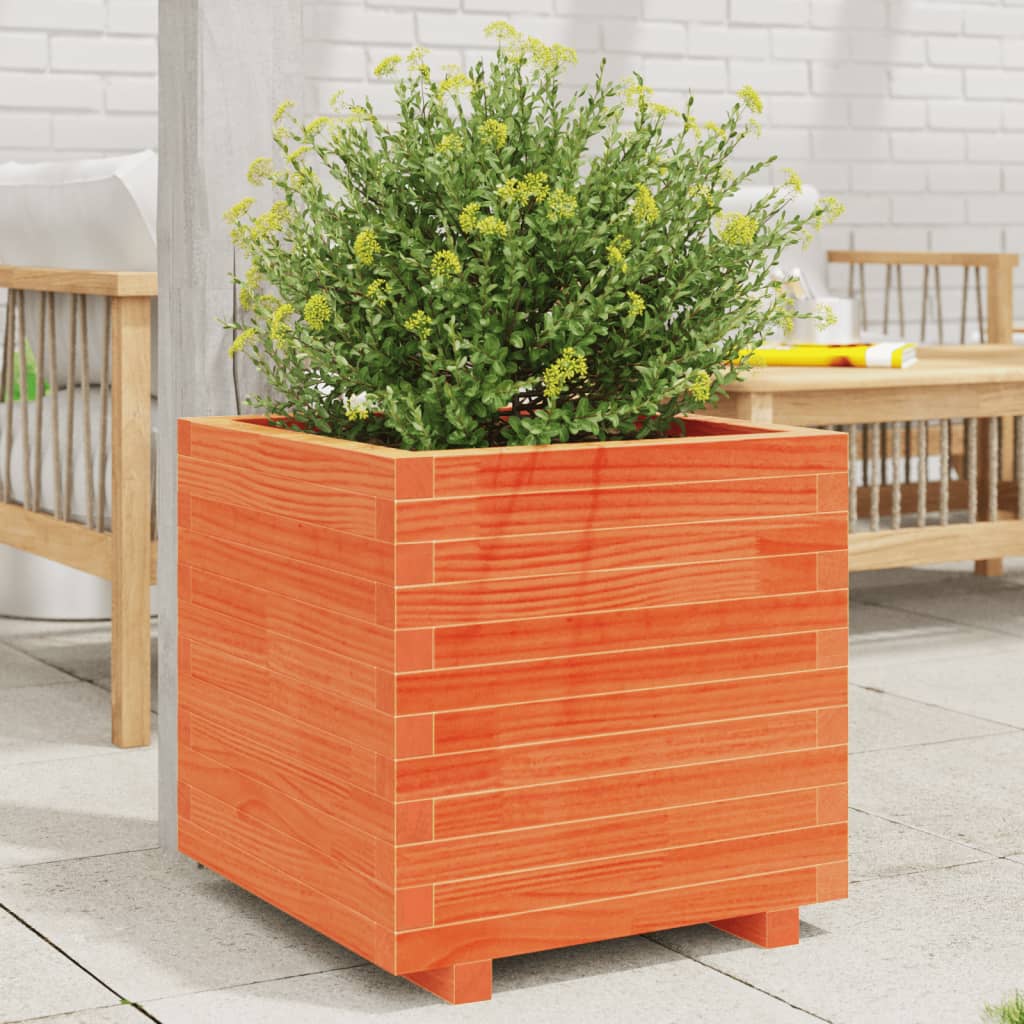 Vidaxx plantekasse 50x50x49,5 cm massiv fyrretræ, vask brun