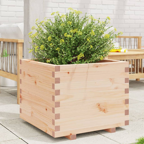 Vidaxx plantekasse 60x60x49,5 cm massivt fyrretræ