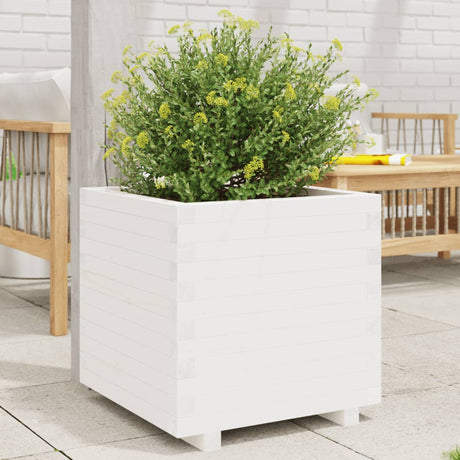 Vidaxx plantekasse 60x60x49,5 cm massiv fyrretræ hvid