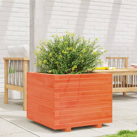 Vidaxx plantekasse 60x60x49,5 cm massiv fyrretræ, vask brun