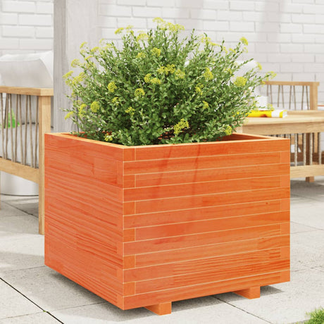 Vidaxx plantekasse 60x60x49,5 cm massiv fyrretræ, vask brun