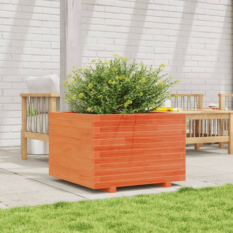 Vidaxx plantekasse 70x70x49,5 cm massiv fyrretræ, vask brun