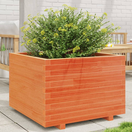 Vidaxx plantekasse 70x70x49,5 cm massiv fyrretræ, vask brun