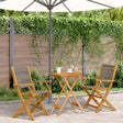 Vidaxl 3-delige bistroset polypropeen en massief hout grijs