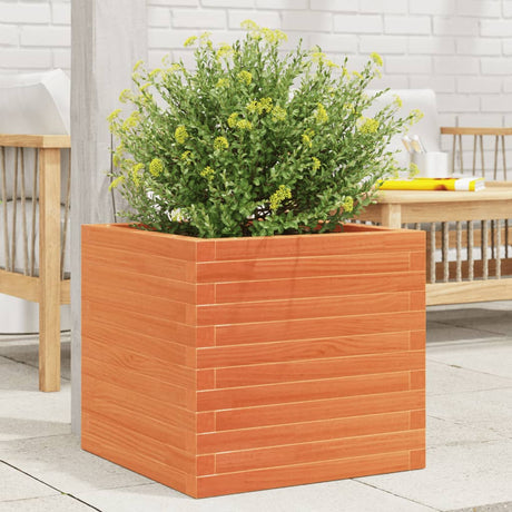 Vidaxx plantekasse 50x50x46 cm massiv fyrretræ, vask brun
