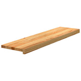 Vidaxx trappetrin 2 stk 100x25x2 cm massiv eg lysebrun