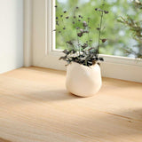 Vidaxx vindueskarme 2 stk ubehandlet 90x20x2 cm massiv eg